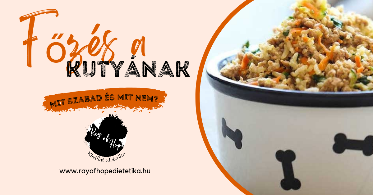 Főzés a kutyának