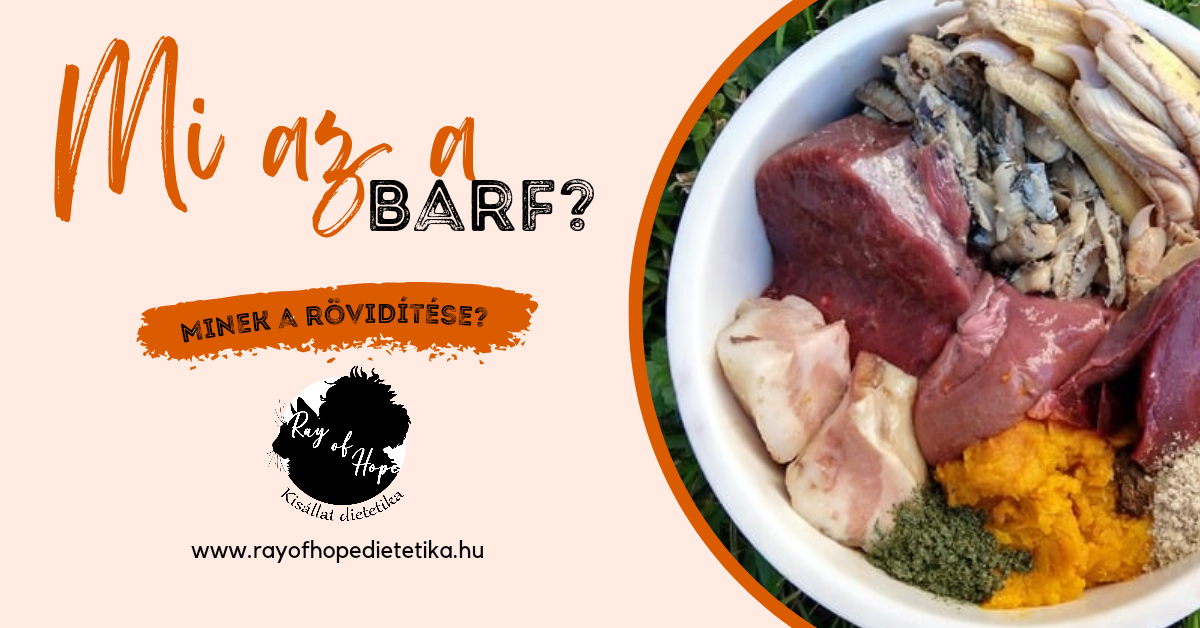 Mi az a BARF?