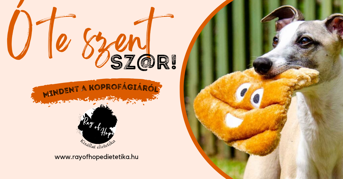 A kutya ürüléket eszik