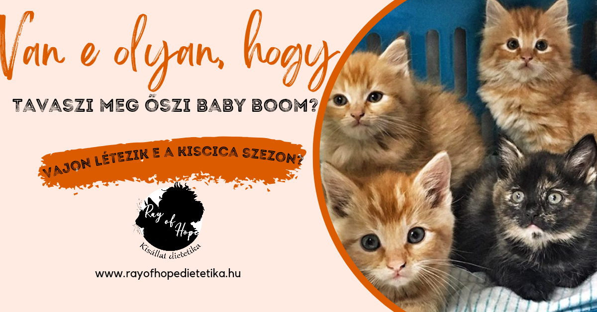 Van e olyan, hogy tavaszi és őszi Baby boom? II.