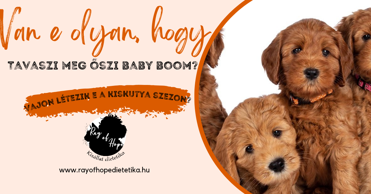 Van e olyan, hogy tavaszi és őszi Baby boom? I.
