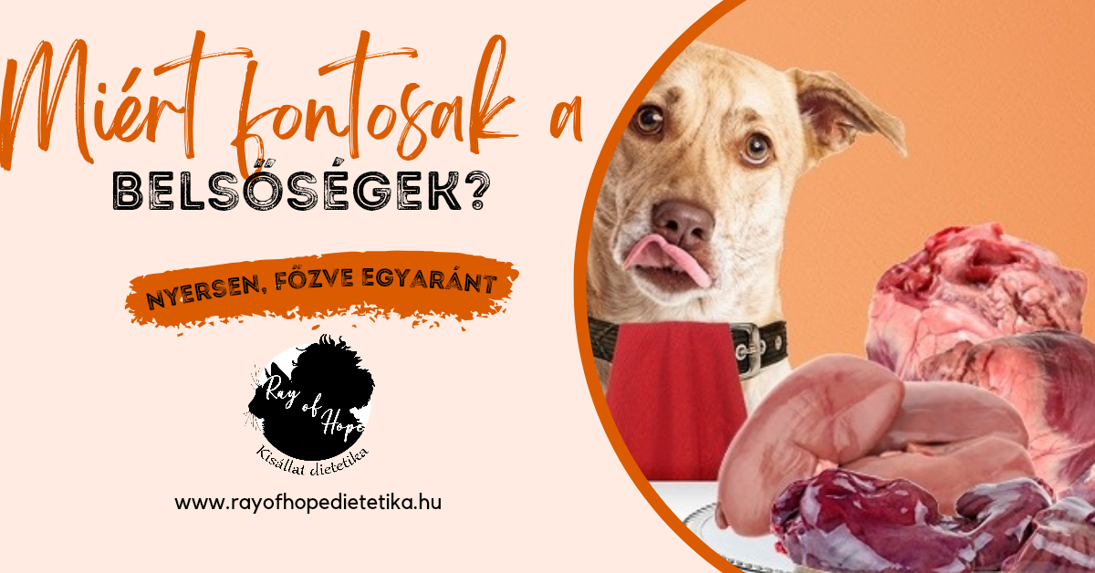 Miért fontosak a belsőségek?