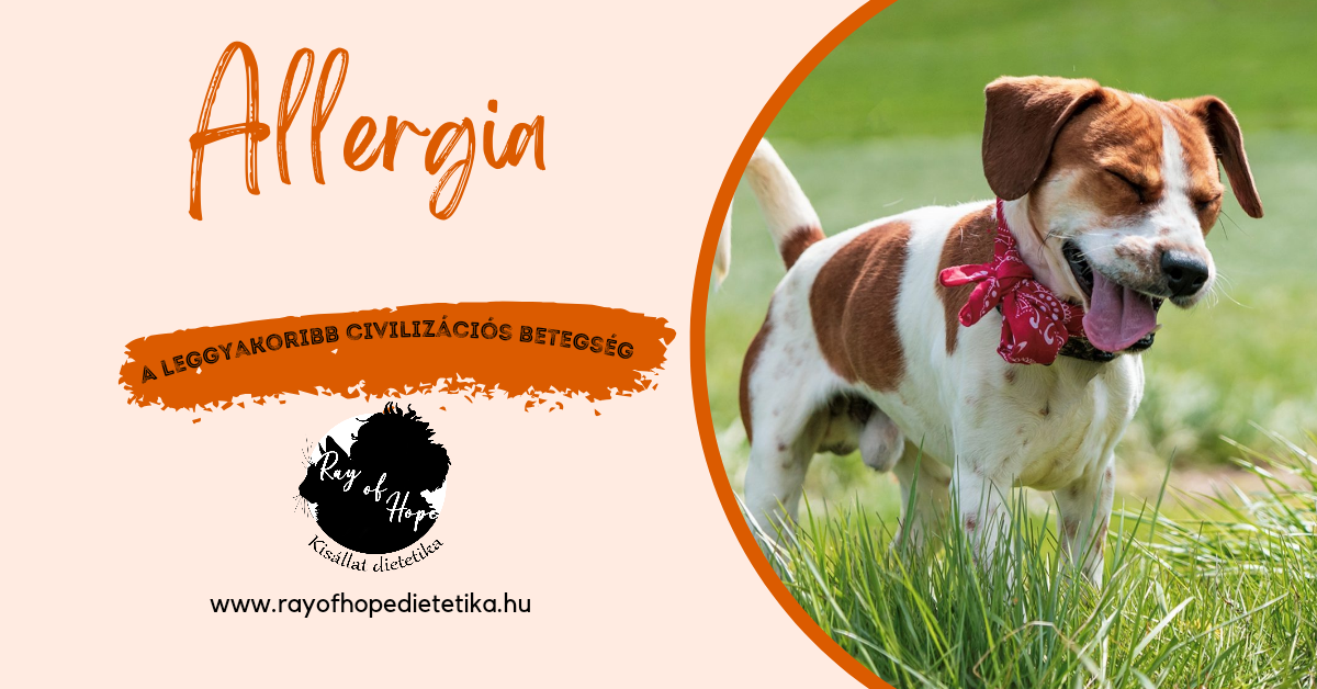 Allergia
