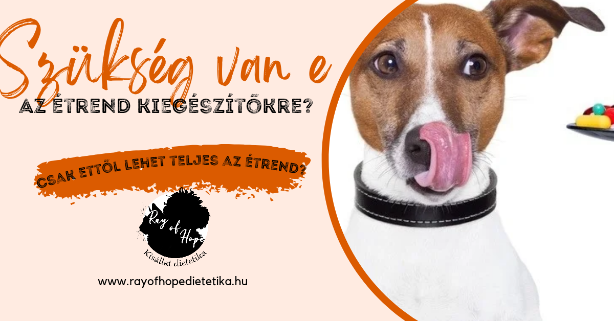 Szükség van e a kiegészítőkre?