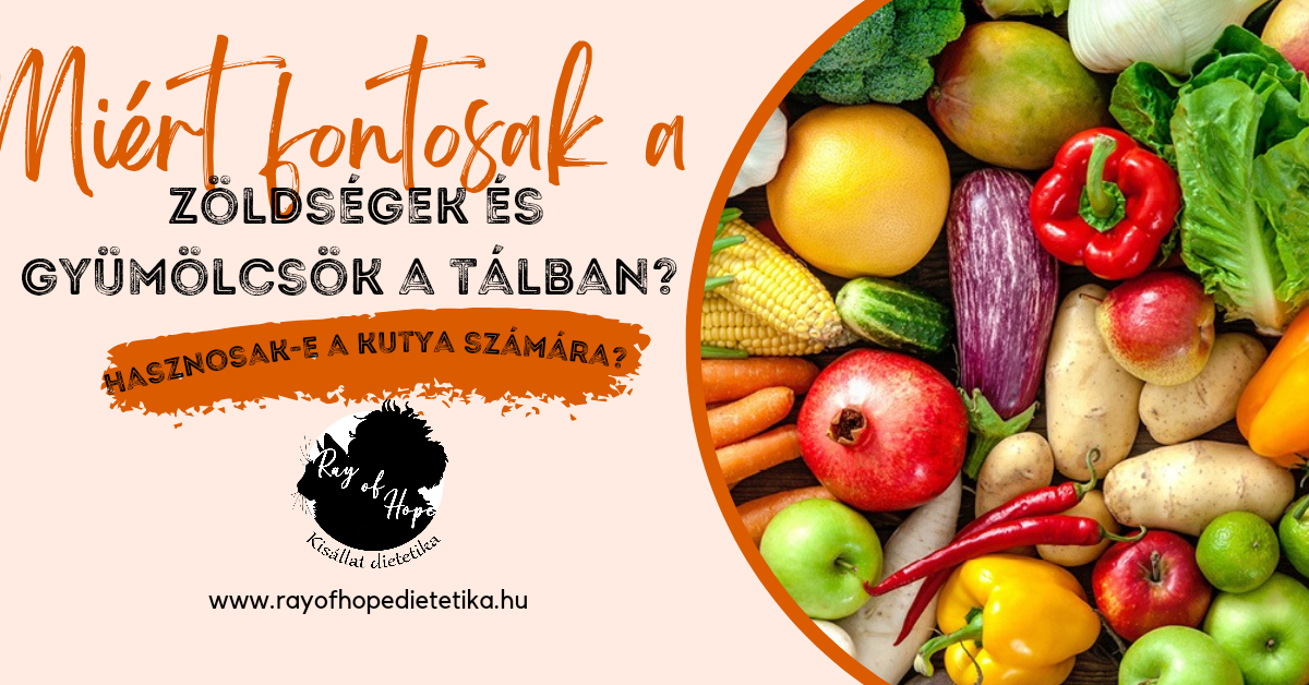 Mennyire fontosak a zöldségek és a gyümölcsök a tálban?