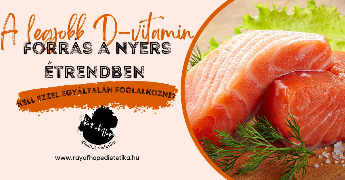 A legjobb D-vitamin forrás a nyers étrendben