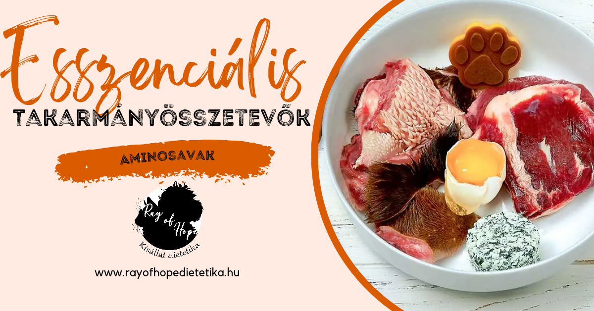 Esszenciális takarmány összetevők: Aminosavak