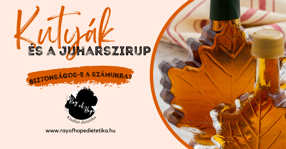 Kutyák és a juharszirup