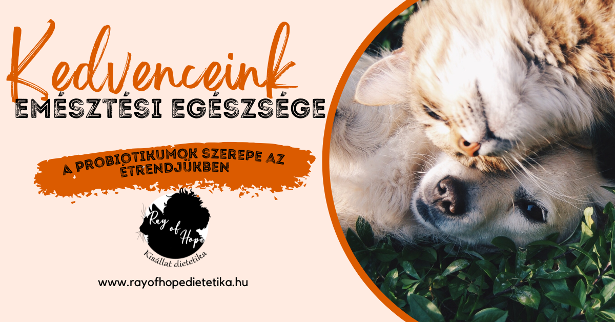 Kedvenceink emésztési egészsége: A probiotikumok szerepe az étrendjükben