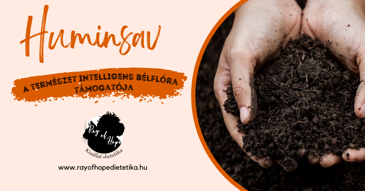 Huminsav: A természet intelligens bélflóra támogatója
